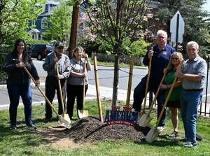 Carousel image 26a2df27603a793e46b5 a tree planting01