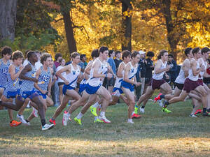 Carousel image e1e5f3634e35ce756ae5 b7a25266 8153 485b 9370 77f826b287c9