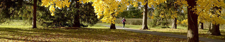 Banner-fall_default_web.jpg