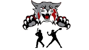 Carousel image 6ffb0f60c9e6069aba15 baseball.softball