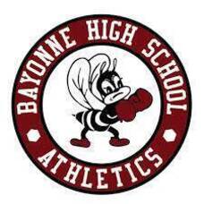 Carousel image c30858430d8bf6771204 bayonne bees logo