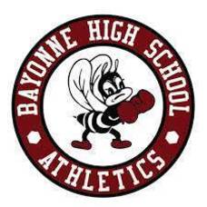 Carousel image c92eecf0cf3bddd79fd5 bayonne bees logo