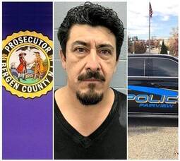 Carousel image ac36bed41c2c0ec4908c bcposhield1zss