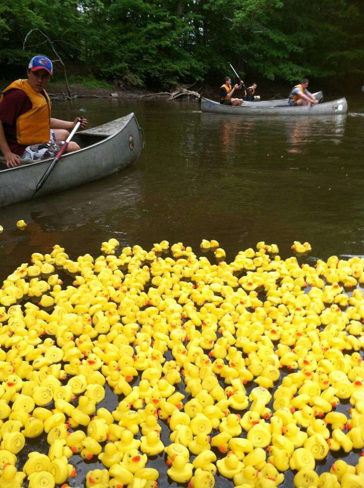 16th Annual Rubber Ducky Festival Set for Saturday, June 8 TAPinto