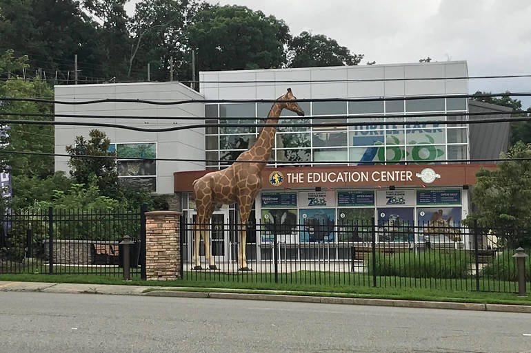 Escaped Turtle Back Zoo Creatures Hogwash Say Officials Soma Nj News Tapinto