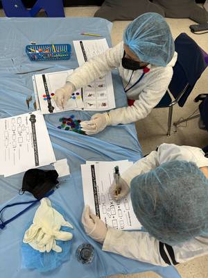 Carousel image 296e3e3bd2086eef3398 bernardsville