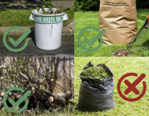 Carousel image 2f85310b5d59189de271 best crop 4b587168ac16bdbe8d9f screenshot 2026 02 10 083620