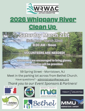 Carousel image 3b8047d8987cf80bf7d2 best crop 7e2d9181f746056e51d7 unnamed