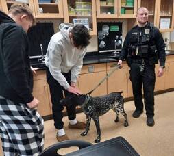 Carousel image 517325a8e997fb82ea64 best crop bdae653aeca75a642bd1 remi   officer alexander of the bordentown k9   03