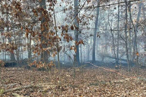 Carousel image 52ad6c bedminster brush fire