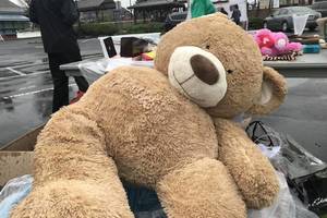 Carousel_image_548ab488f00a92b8718d_bear