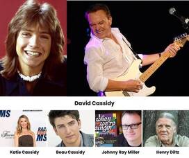 Carousel image 80b39e13cf7207fa1ded best crop f680c30a8ad2e39dd4a7 david cassidy updated