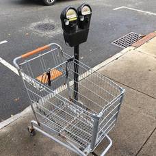 Carousel image 8558be13a0a0e3e6e9b0 best crop 69878e820cf027268630 shopping carts in the wild oct 28 2018