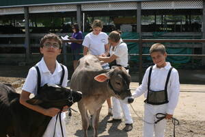 Carousel image 8814e70845bf8db8b4ea before cow show 24