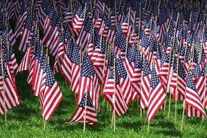 Carousel image bb9b9e12097f67784bc8 best crop 2ec5858a6378ffaf1a82 18d4a048495577b860d6 veterans day 3