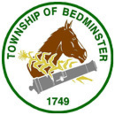 Carousel_image_ea18aa63bee8a9df8434_bedminster_logo