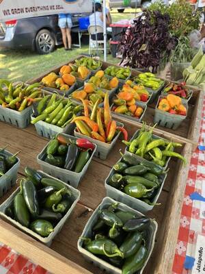 Carousel image ecaccc9d3db3dd480e78 best crop 29b5cae9c60ade19cb9c 3033fa09417214add37d img 3977