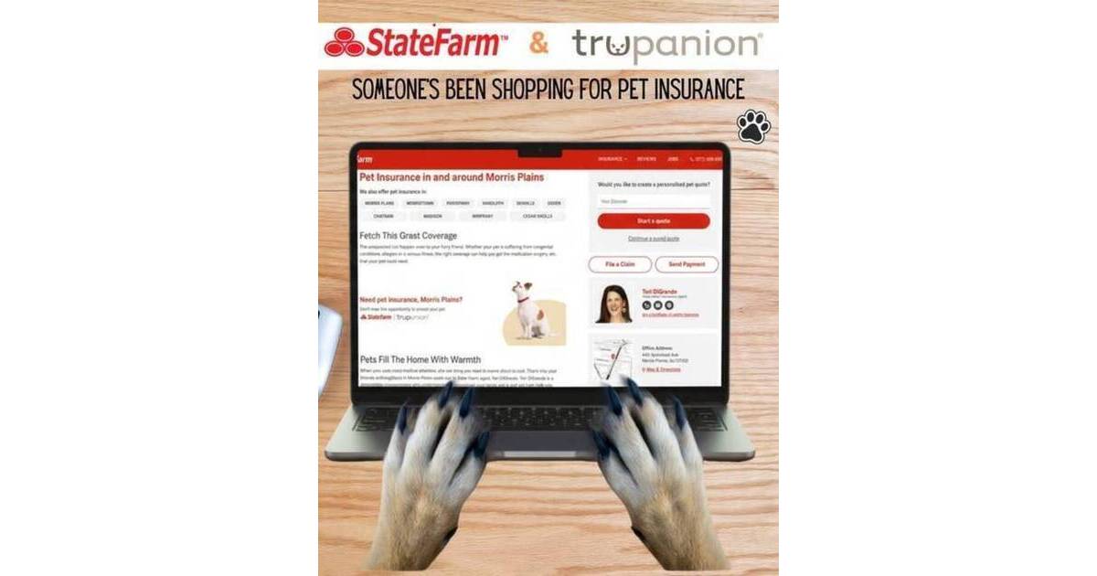 Protecting Pets and Your Wallet:State Farm Agent Teri DiGrande Highlights The Im...