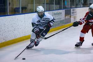 Carousel image 6e9d02b4908e3a8b5980 bhockey 1