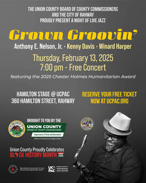 Carousel image 827c0ea17e11e79f1787 bhm25 groovin flyer
