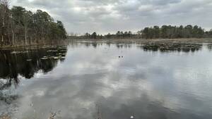 Carousel image 5ba46e96b3205343d881 black run preserve 1