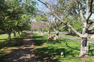 Carousel_image_752221f21c46f9390a84_blackboxes