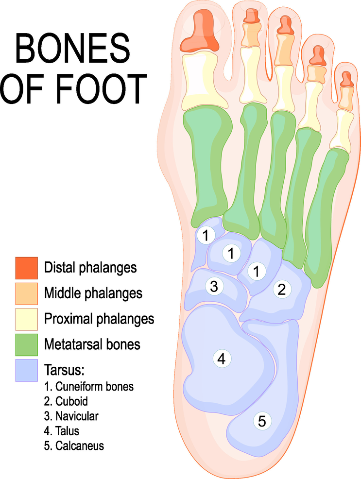 How Many Foot In 10 Marla How Many Foot In 10 Marla