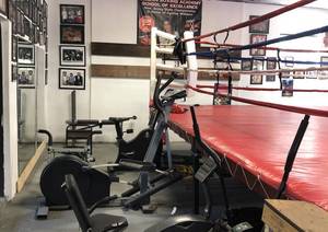 Carousel_image_a2f61e5d918cd1c9ccd2_boxing9