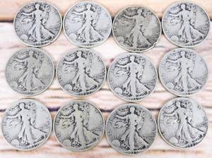 Carousel image cd2cea869e1217a8fa33 bodnarpixwalkinghalfdollars