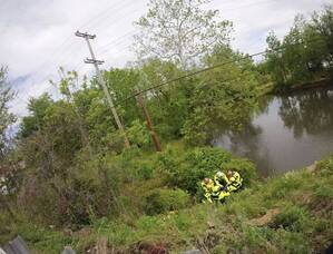 Carousel image cf903f ody pulled from arrington creek