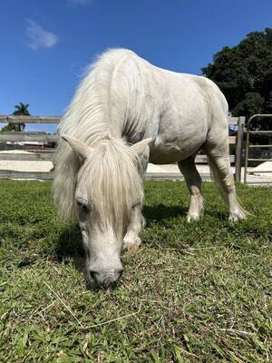 Carousel image clone 1727405 2ff86ba3fb2b824d48ea boo