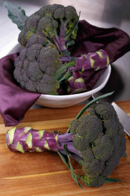 Carousel image 35e5d3d790fbe55f0a50 broccoli purple magic heads photo credit all america selections