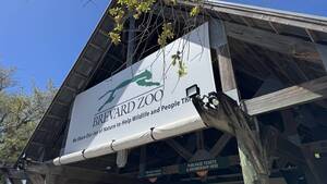 Carousel image 7587d8c095cdd3fece46 brevard zoo angled