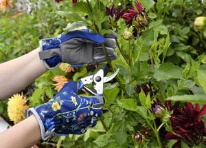 Carousel image 8e7bb00b460b006bba9d britishmeadowgloves and bb pruner photo credit corona tools