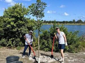 Carousel image afc3140384b5e49e107a br arbor day