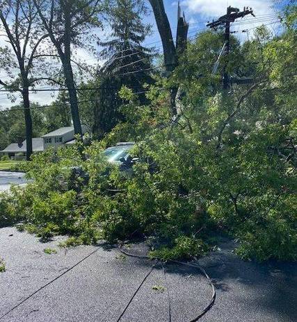 Top story 3b7fbbef1237c22bb8d3 branch on patrol car