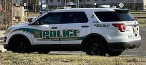 Carousel image 6d9faf6ee7a39195aecb btpd car