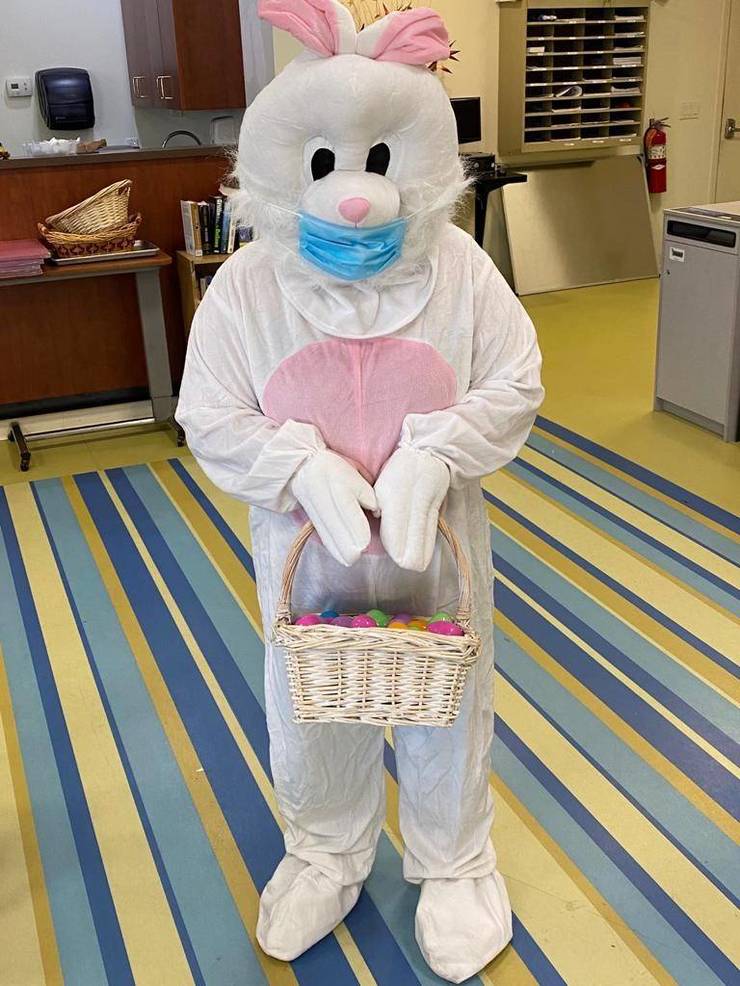 Bunny.jpg