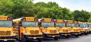 Carousel image c88e51b9be8aeb0aa346 bus