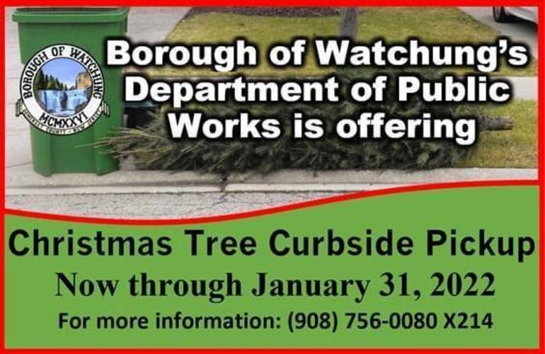 Christmas Tree Pickup North Providence 2022 Update: Watchung Borough Collection Of Christmas Tree | North  Plainfield/Green Brook/Watchung, Nj News Tapinto