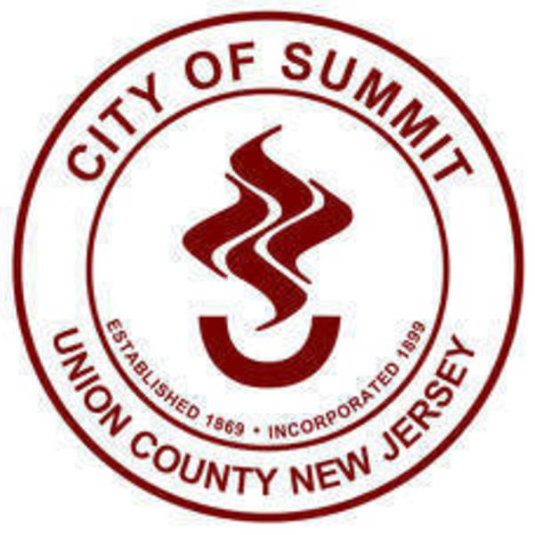 City's Online OPRA Request Portal Down for Maintenance July 1-5 | Summit,  NJ News TAPinto