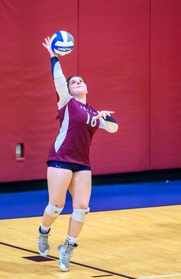 Carousel image 069abc213a0fcc74b320 casey kelly serving for harvey