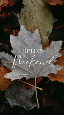 Carousel image 0810d6d8f47c8a9e5457 canva design  21 