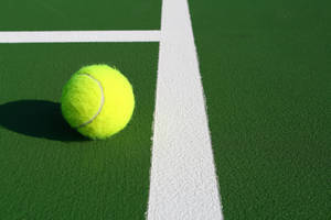 Carousel image 0bbe7afc289e75383e0c carousel image 9606386ff98a4901b7c3 81cbc8ed834bb5d9c89f tennis