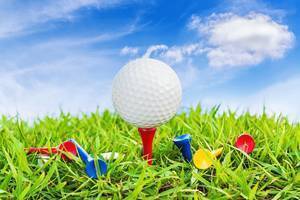 Carousel image 1a2f17202b19c7aaee2a carousel image 90ddf5b8745b4f3c8ee2 golf