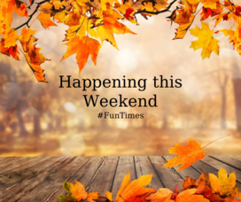 Carousel image 1a622309a23f2b92c629 canva design  2 