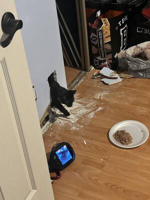 Carousel image b668cbc721796f18a3f8 cat1