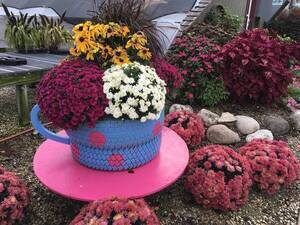 Carousel image dee995c6d7a3d24a5375 carousel image 148ba705861f42d3e8db best crop 965765688559eec4ee0f mums oct 2018   369300  1 