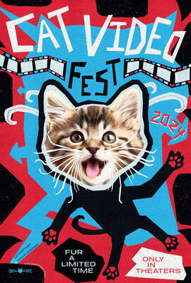 Carousel image e027fd14bd834f45021b cat video fest