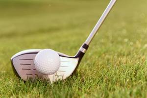 Carousel image fd8e199c10f24a665e4b carousel image 1bcded84b6cd3b5bd2a7 mini magick20240610 27582 1m7wrc6